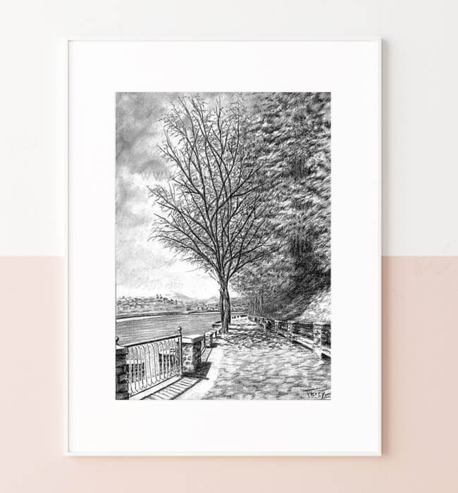 Lámina Pº de los Curas, Donostia